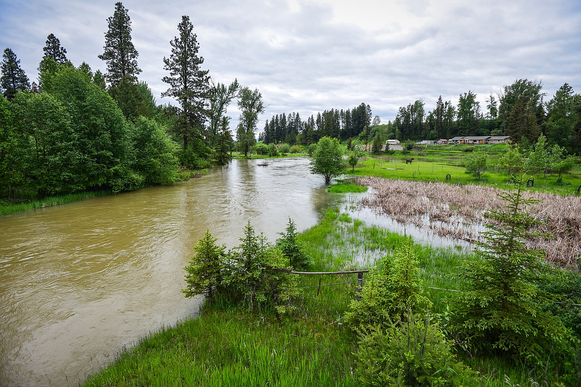 The swollen Whitefish River as seen from the bridge on Rose Crossing on Wednesday, June 15. (Casey Kreider/Daily Inter Lake)