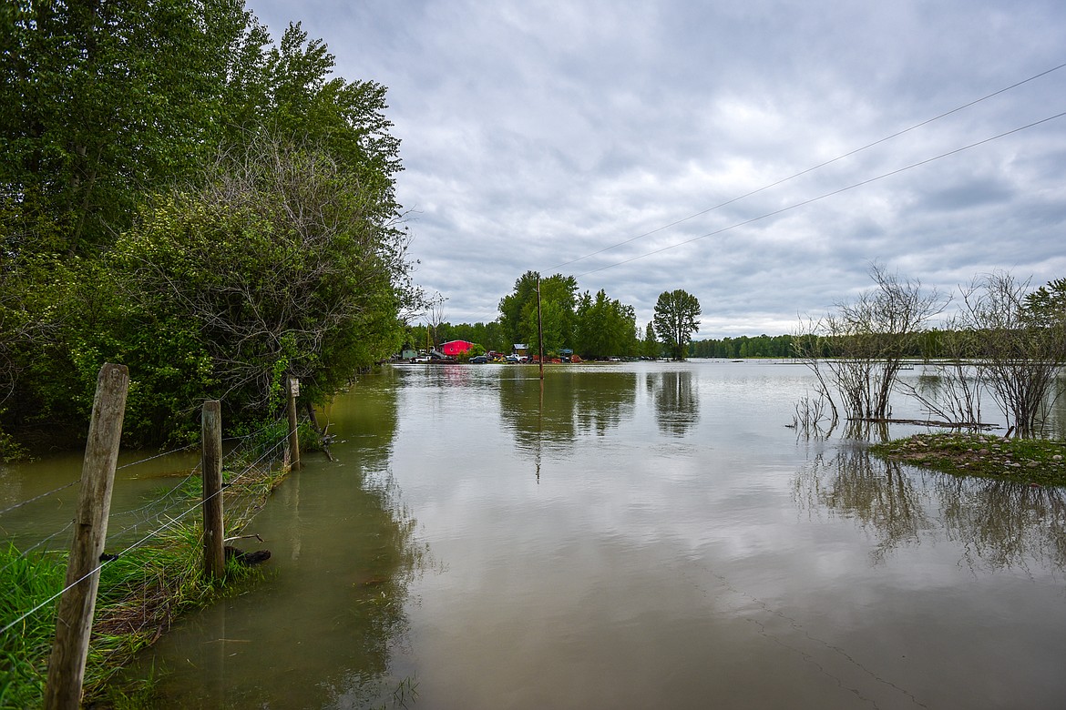 The Flathead River floods a property on Amdahl Lane in Evergreen on Wednesday, June 15. (Casey Kreider/Daily Inter Lake)