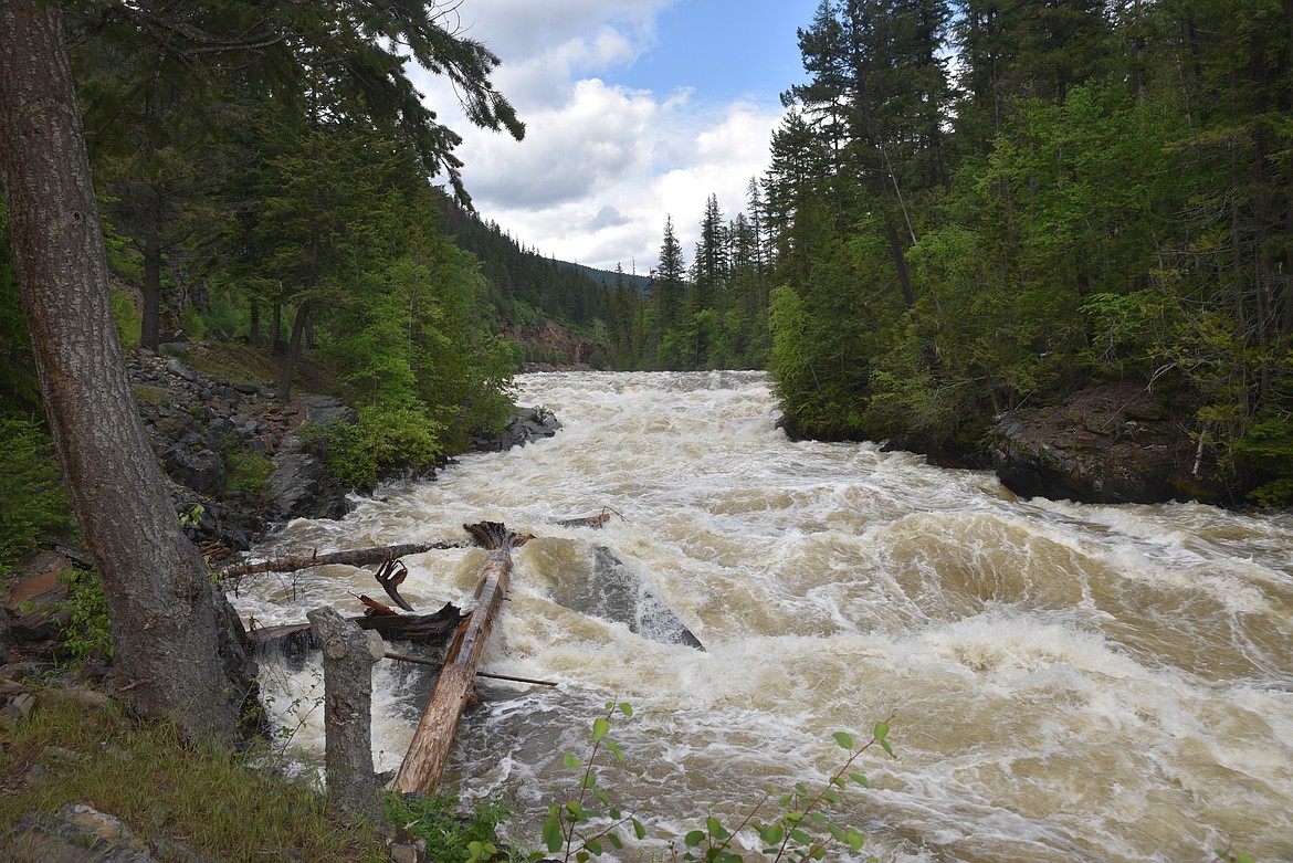 The Yaak River in Lincoln County on Wednesday, June 15. (Scott Shindledecker/The Western News)