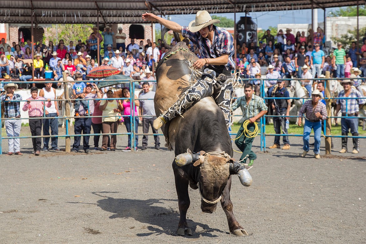 PBR Pick 'Em Morning Line - St. Louis Round 2 - News