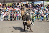 PBR to host event in Kennewick in September