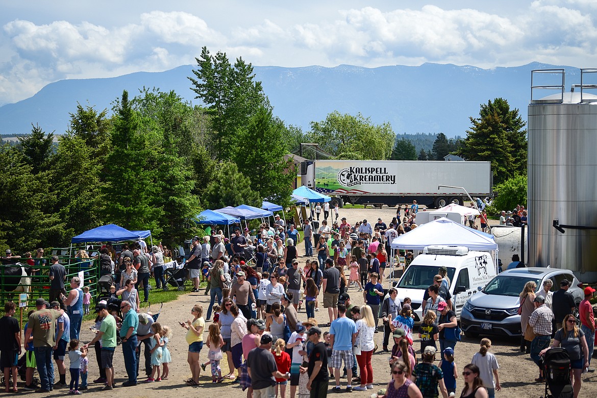 Families attend Kalispell Kreamery's Milk & Cookies event for an opportunity to meet several cows and calves; make your own butter; enjoy a scoop of ice cream; compete in a cow milking contest and more on Saturday, June 18. (Casey Kreider/Daily Inter Lake)