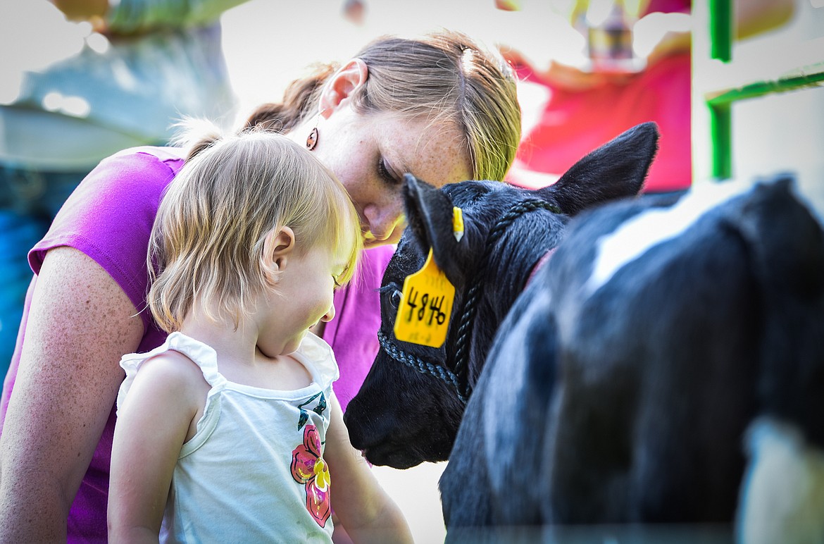 Jessie Novotny and her daughter Mckinnley are greeted by one of the calves at Kalispell Kreamery's Milk & Cookies event on Saturday, June 18. (Casey Kreider/Daily Inter Lake)