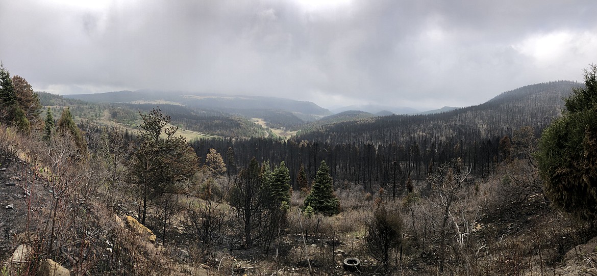 A burned landscape from the Hermits Peak/Calf Canyon fires in North Central New Mexico. (Tracy Scott/Valley Press)