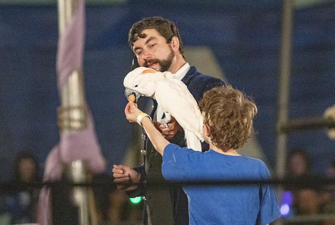 A young volunteer from the audience helps with feeding time during the Culpepper & Merriweather Circus on Saturday afternoon.