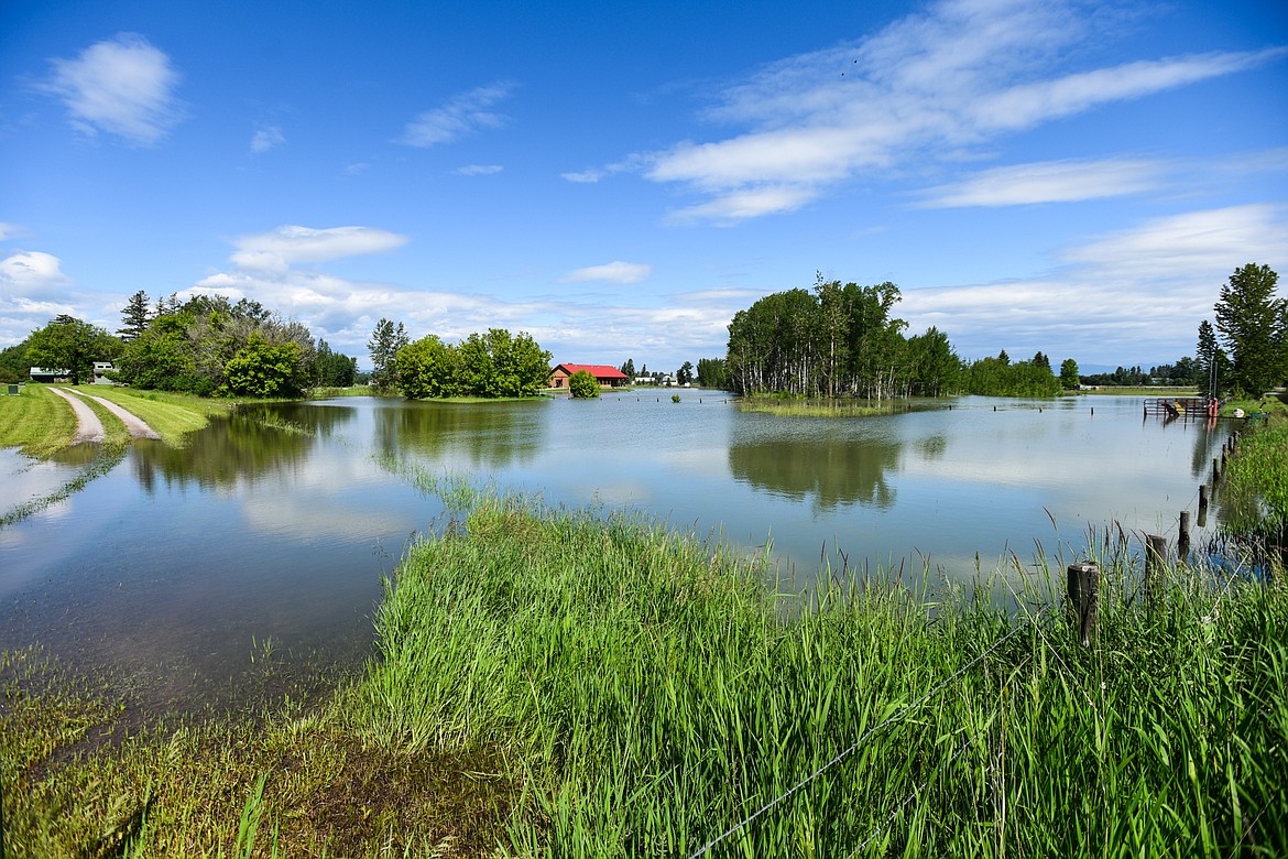 Flooding from the Flathead River along Wagner Lane on Wednesday, June 22. (Casey Kreider/Daily Inter Lake)