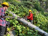 Trail Association looking for youth volunteers