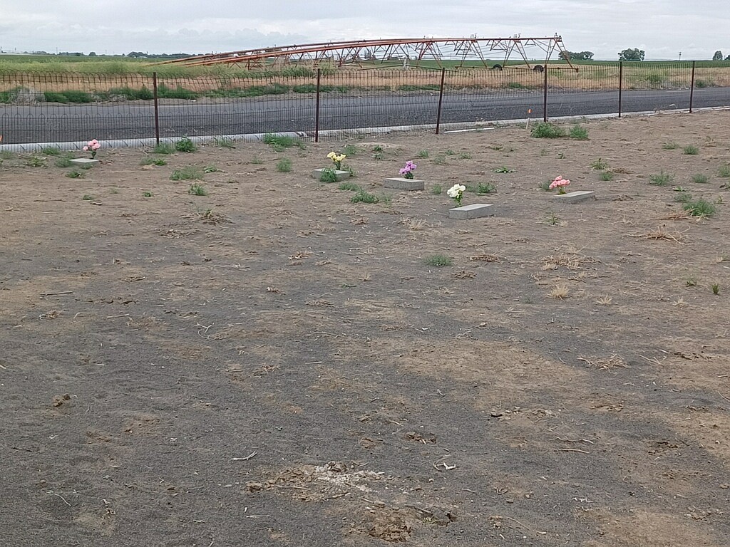 Ruth Hinen Latham has placed markers and flowers at the possible graves in the cemetery.