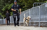 Supreme Court expands gun rights, striking New York limits