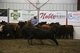 NCHA Weekend comes to Grant County Fairgrounds