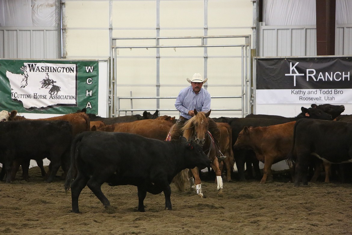 The WCHA hosted an NCHA Weekend event, where cutters from the Western US and Canada made their way to Moses Lake for a circuit competition.