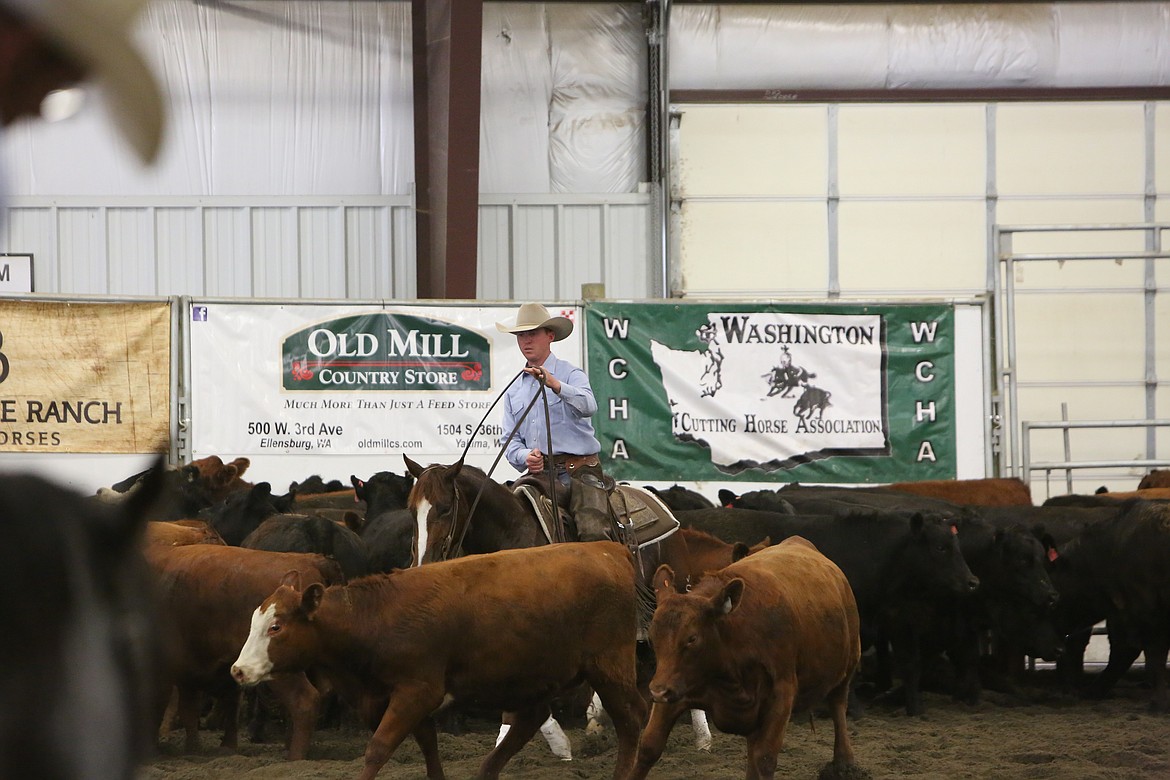 Riders enter a group of cattle before selecting a cow for their run, where they try to keep the cow from reentering its herd.