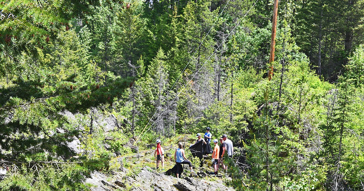 Weed Rodeo helps restore native landscapes along Flathead River ...