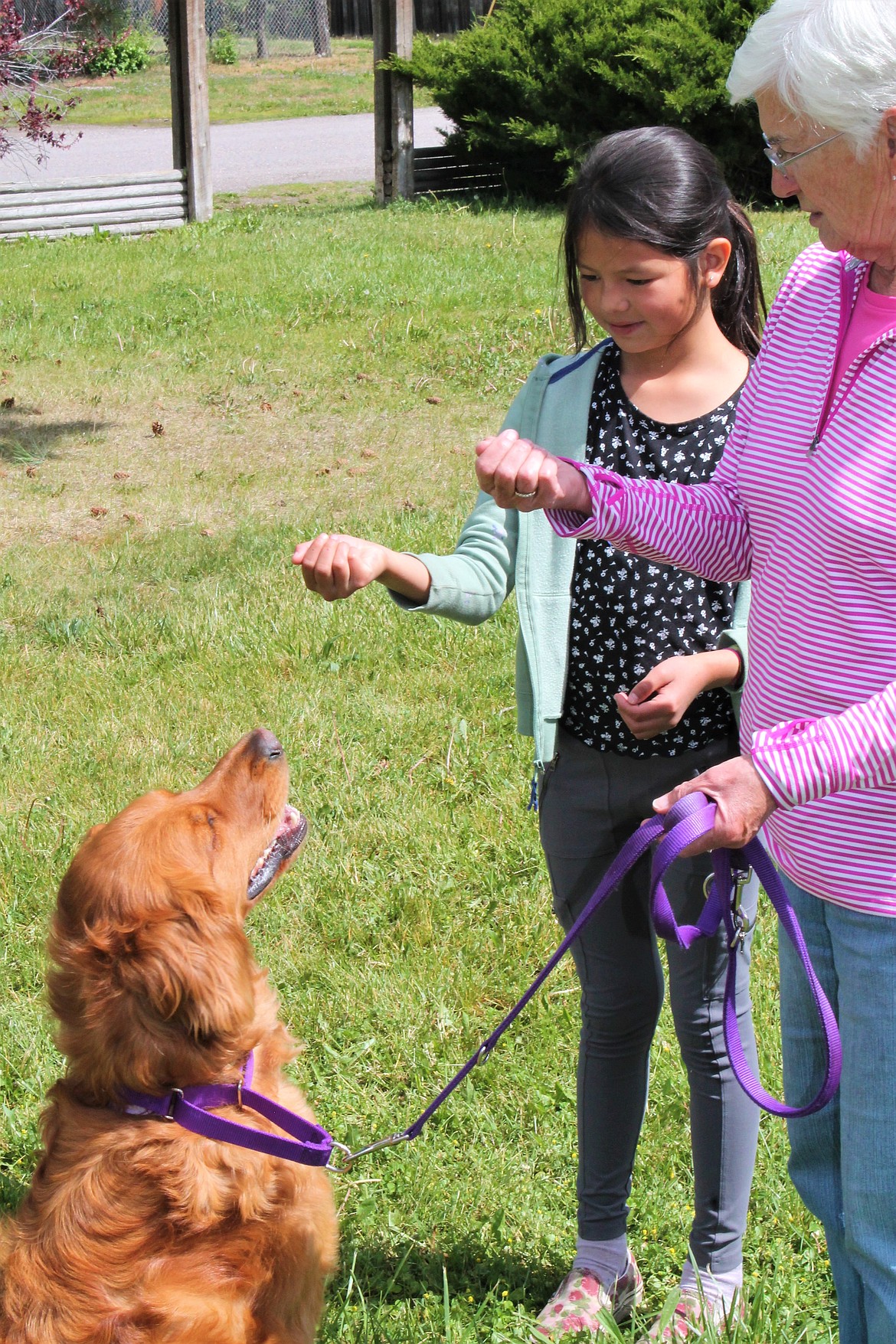 Learning to communicate with animals is part of learning to build trusting relationships with people, too, at Pawsitively Healing Camp. (Courtesy photo)