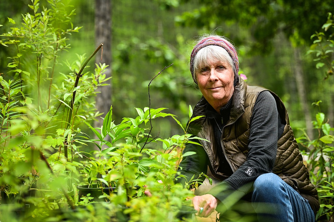 Kathy Ross tends to her garden in Bigfork on Wednesday, June 29. (Casey Kreider/Daily Inter Lake)