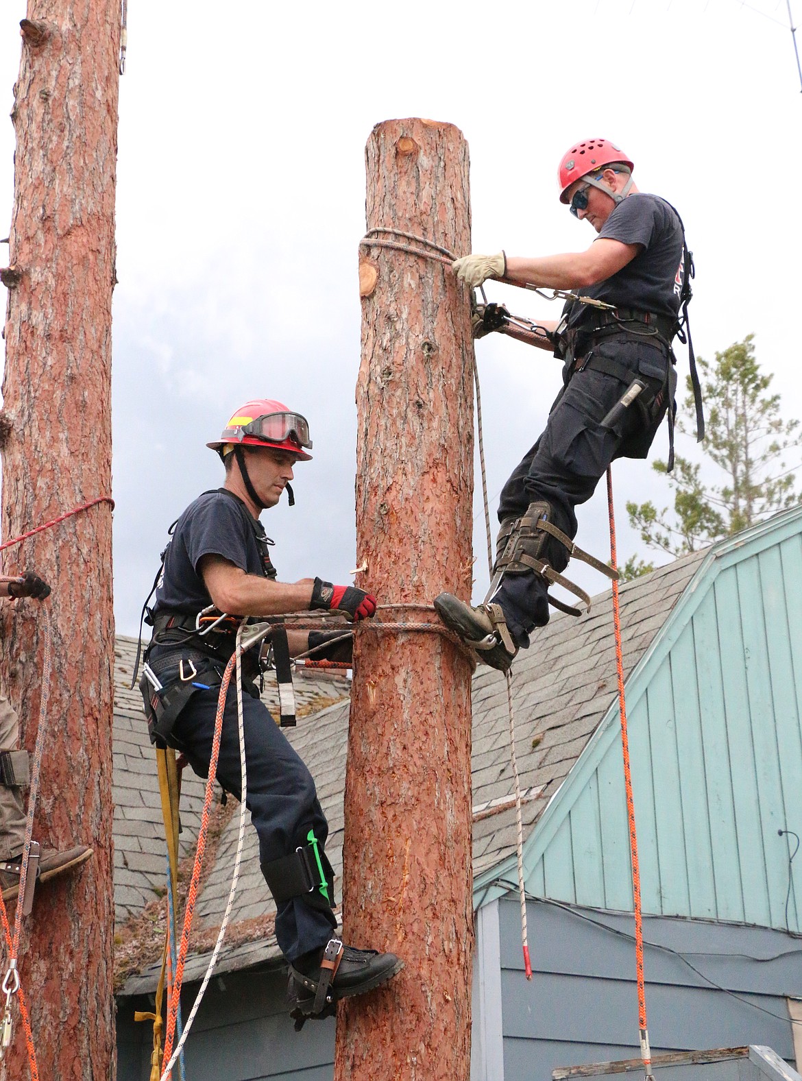 Area firefighters practice climbing a spar pole during a mid-June training exercise on tree rescues.