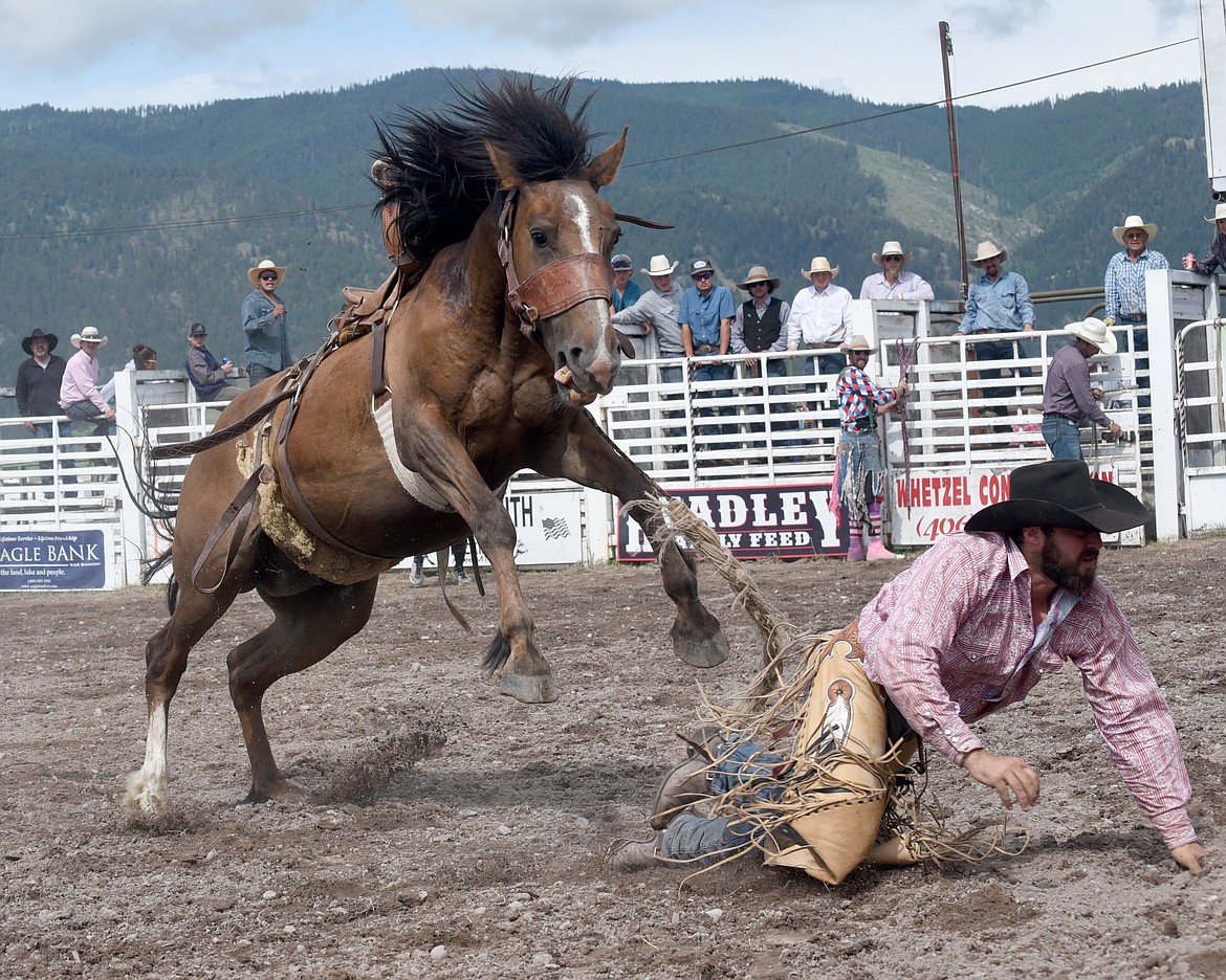 Thrills and Spills at Arlee July 4th Rodeo Lake County Leader