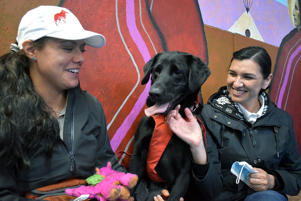 Michele Vasquez (left) and researcher Souta Calling Last sit with Charlie, a 4-year-old Labrador retriever trained to detect several scents for Working Dogs for Conservation. (Aaron Bolton for KHN)