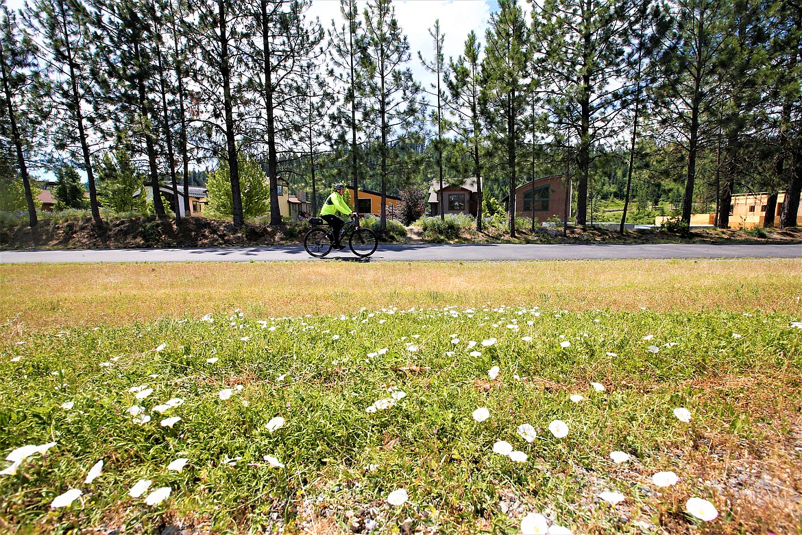 A bicyclist passes a section of land next to the North Idaho Centennial Trail were a greenbelt is planned for development.