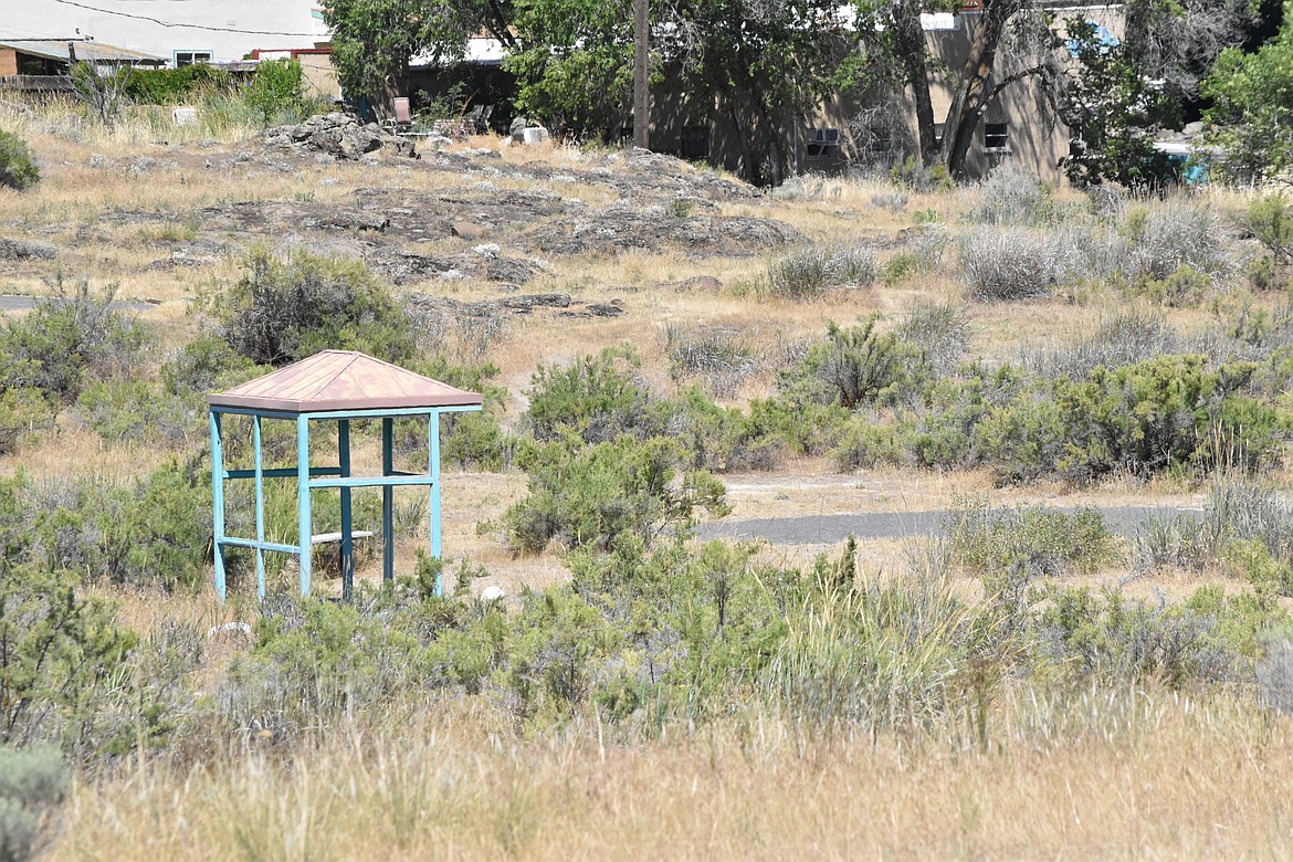 Former Soap Lake Mayor DeVaun Black said the area was so overgrown that the sagebrush was over people’s heads before it was mowed down to create the course.