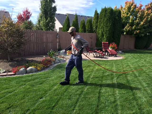 An employee with Ramey’s Yard Care fertilizes a lawn.