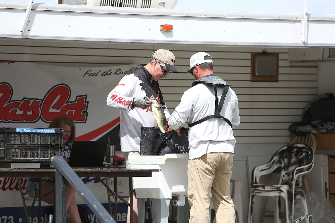 Anglers brought up their five biggest fish to the stage for the official weigh in at the Shootout at Potholes tournament.