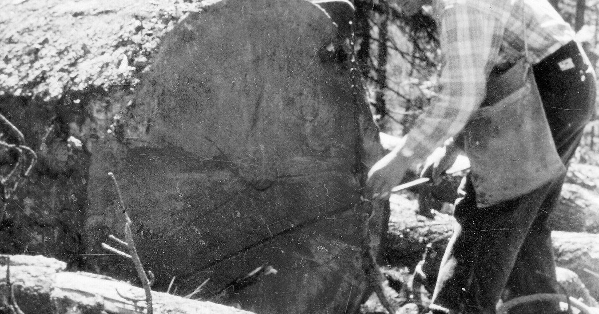 New pastor arrives at Priest River church Bonner County Daily Bee