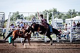 Ted Rice Arena hosts junior rodeo