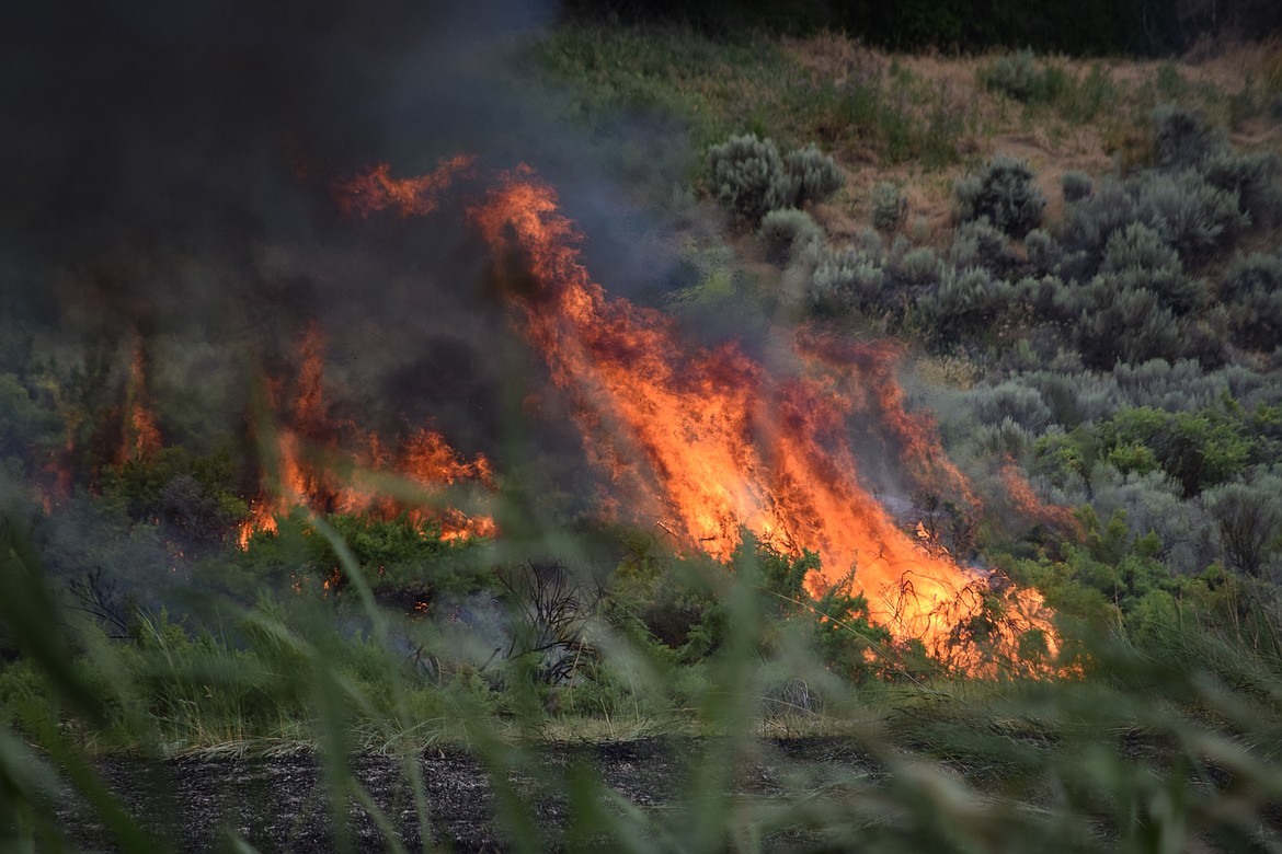 A close-up of flames in the midst of a field between Samaritan Hospital and Safeway, where a fire broke out Wednesday afternoon in Moses Lake.