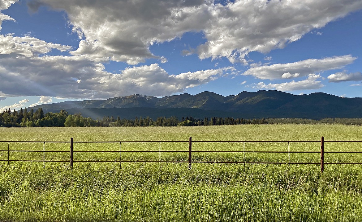 Open farmland on Voerman Road in Whitefish with the view of Big Mountain in the distance. (Whitney England/Whitefish Pilot)