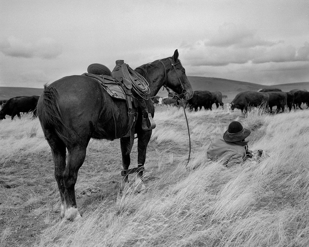 John Aquiso, Big Springs Ranch, Idaho (Kurt Markus)