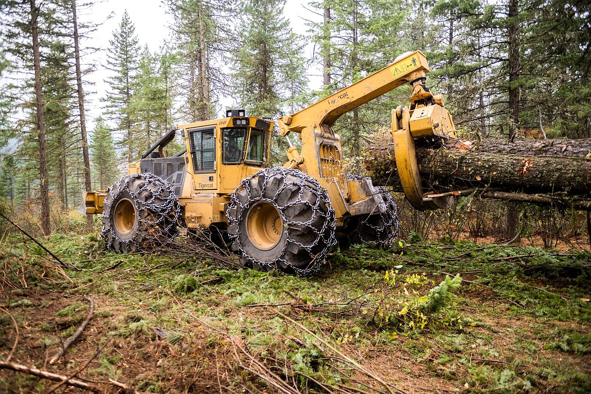 A skidder, part of the University of Idaho student logging crew, moves logs.