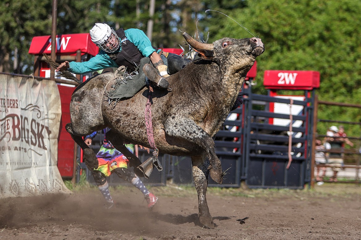 A bull rider at the rodeo at Under the Big Sky in Whitefish on Friday, July 15, 2022. (JP Edge photo)