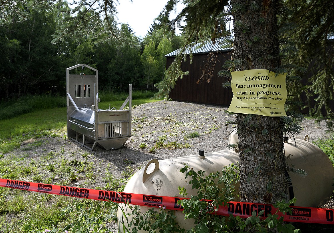 A bear trap set by Montana Fish, Wildlife and Parks on Wednesday, July 7, 2021, in the camping area in Ovando, Mont., where bicycle tourist Leah Davis Lokan of Chico, Calif., was pulled out of her tent and killed by a grizzly bear on July 6, 2021. An investigation found Lokan was the victim of a rare predatory attack by a food-conditioned bear that was likely attracted to food in and near her tent and scents left behind from recent picnics. (Tom Bauer/The Missoulian via AP, File