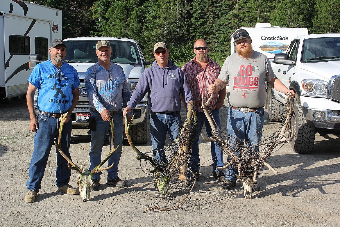 Volunteers assist with the annual Rocky Mountain Elk Foundation wire pull on the Montana/Idaho border. The two elk racks on the left were found on the first of the two-day pull, and the one on the right was found a few years back, which is what prompted this wire-pull to be an annual event. The one without electrical wire in its antlers had it wrapped around his skeleton where it had become hung and starved to death. (Monte Turner/Mineral Independent)