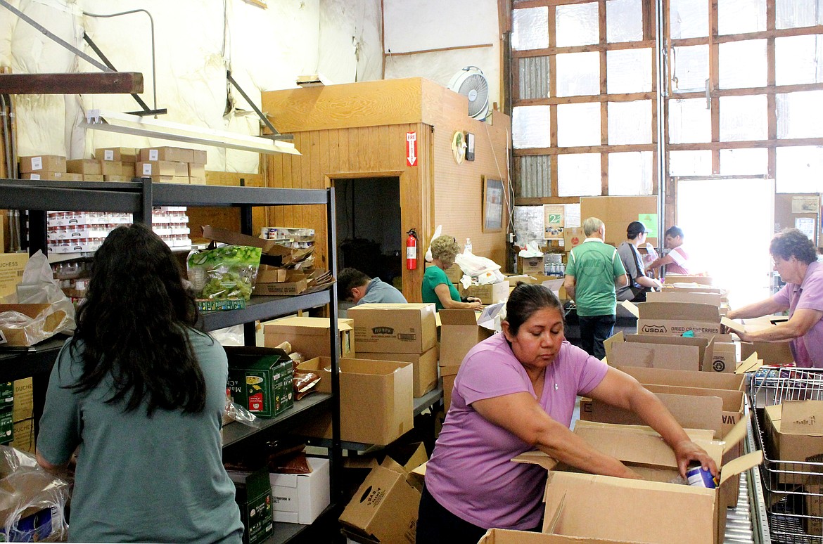 Volunteers pack boxes of groceries at the Royal City Food Bank Tuesday. The boxes will go to anywhere from 120 to 200 households in a drive-thru line.