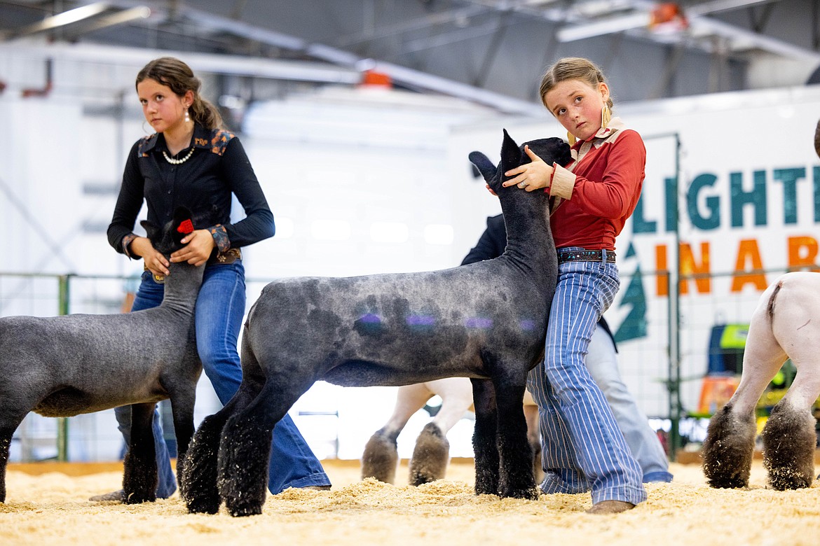 Fifth-grade student Halsey Middlemist poses with her lamb during a Jackpot style livestock show earlier his month. (Photo courtesy of the Middlemist family)