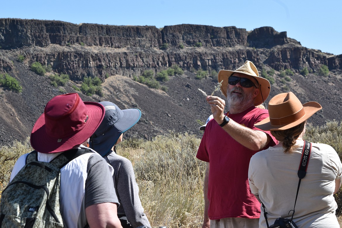 Karl Lillquist, physical geographer at Central Washington University, shows hikers some of the vegetation in the area and discussed what was invasive and what was natural.