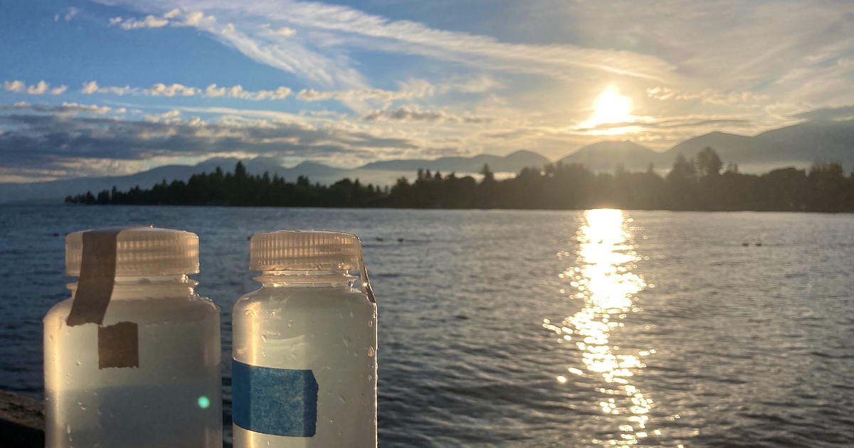 Deep Dive into FLBS: Sampling for Flathead Swimmers | Bigfork Eagle
