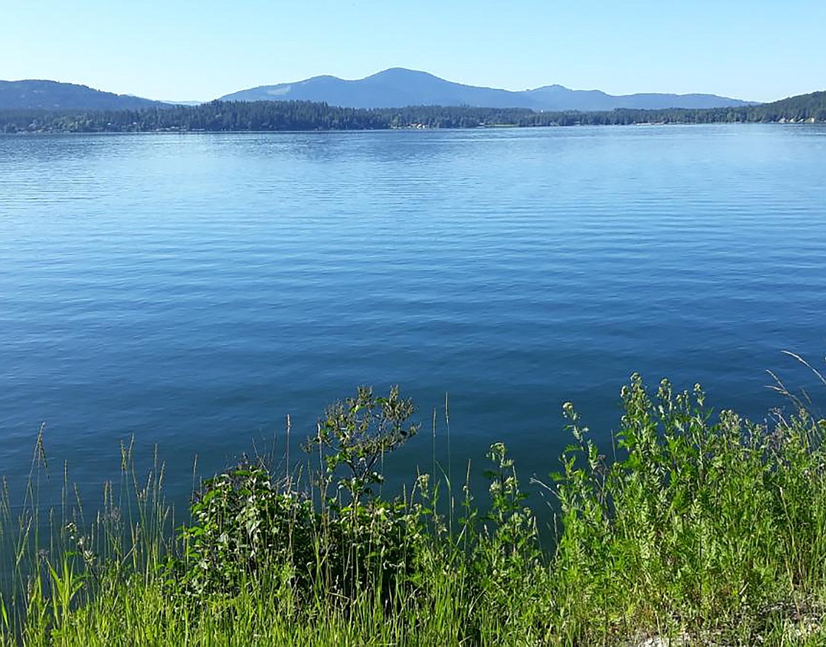 Albert De Armas captured this Best Shot recently of a tranquil summer scene. If you have a photo that you took that you would like to see run as a Best Shot or I Took The Bee send it in to the Bonner County Daily Bee, P.O. Box 159, Sandpoint, Idaho, 83864; or drop them off at 310 Church St., Sandpoint. You may also email your pictures in to the Bonner County Daily Bee along with your name, caption information, hometown and phone number to news@bonnercountydailybee.com.