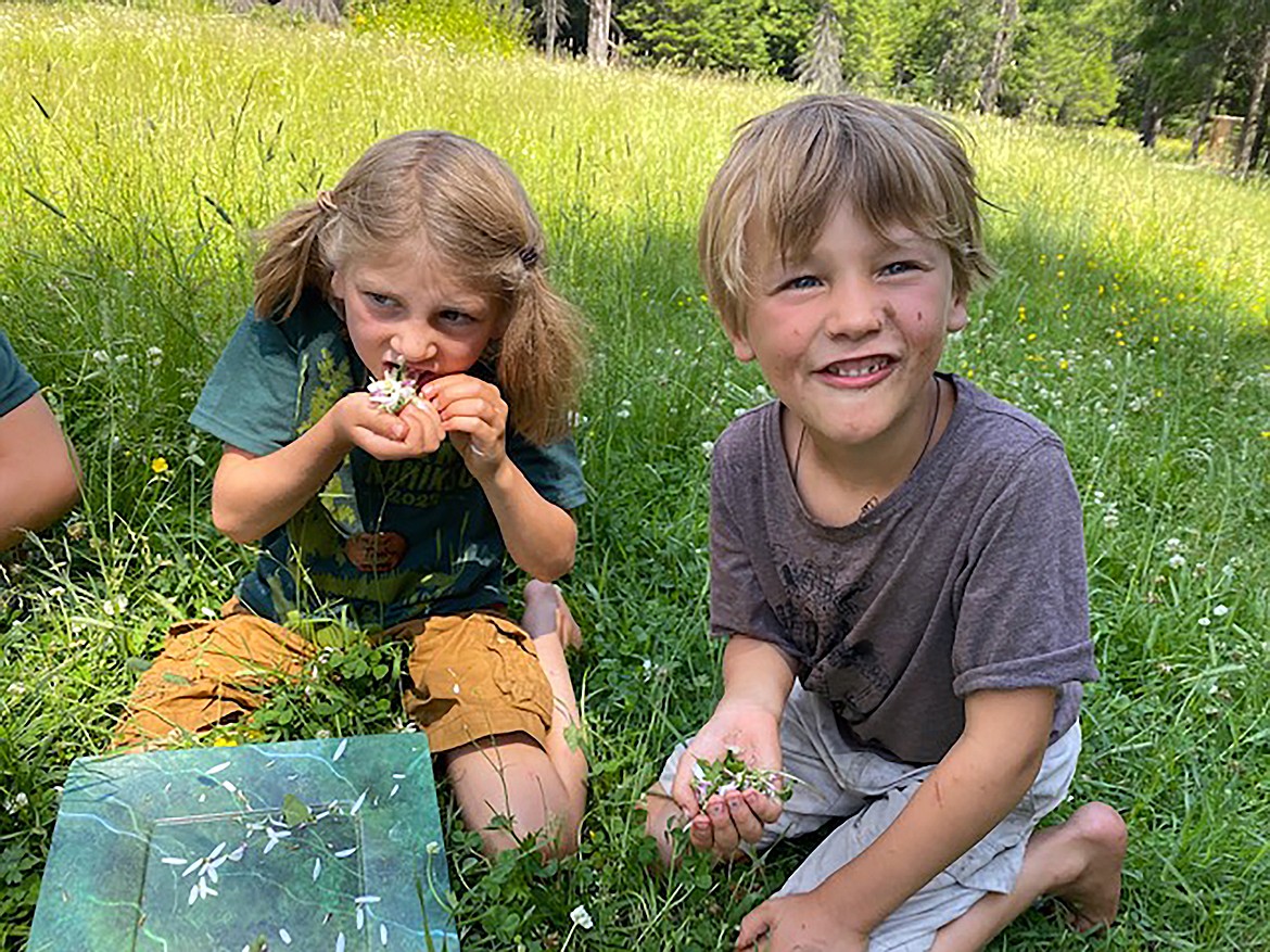 Camp Kaniksu participants enjoy Green Garden dressing on wild greens they harvested at Pine Street Woods.