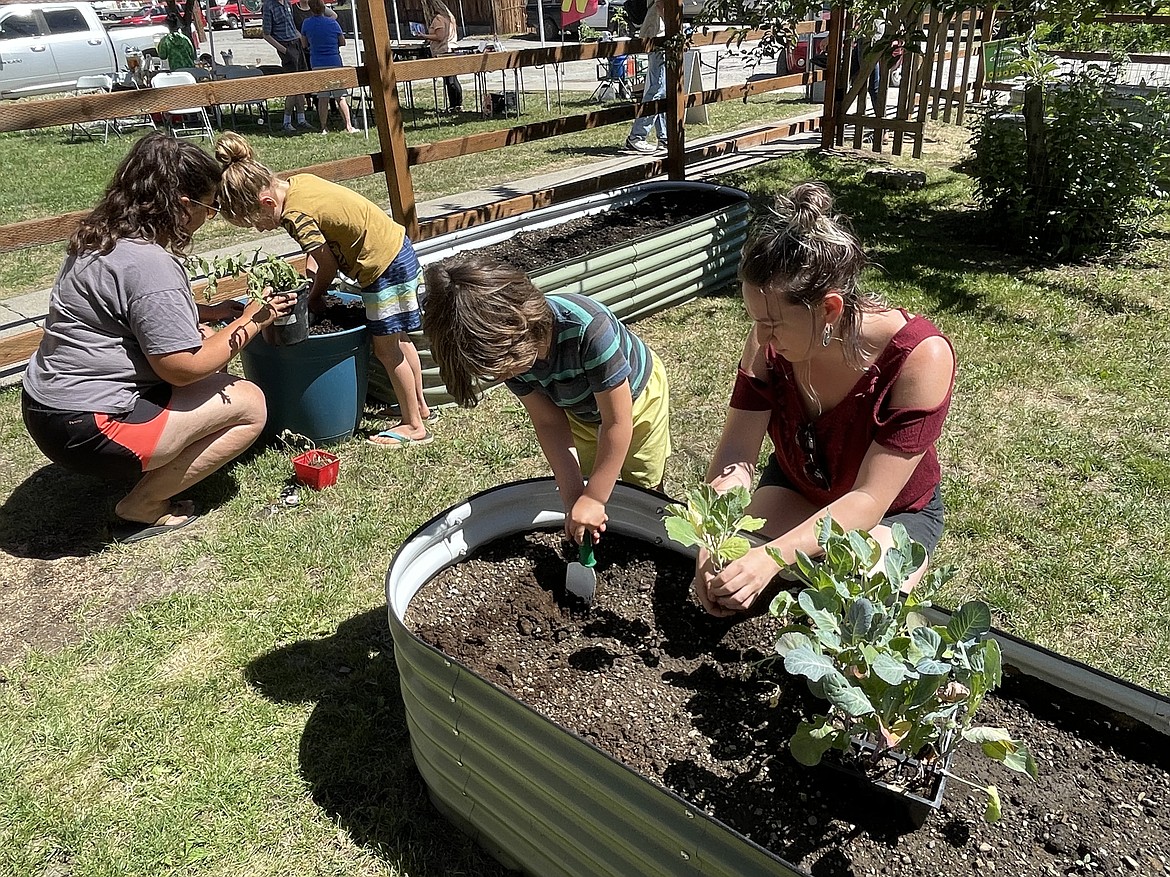 Community garden helping community grow Bonner County Daily Bee