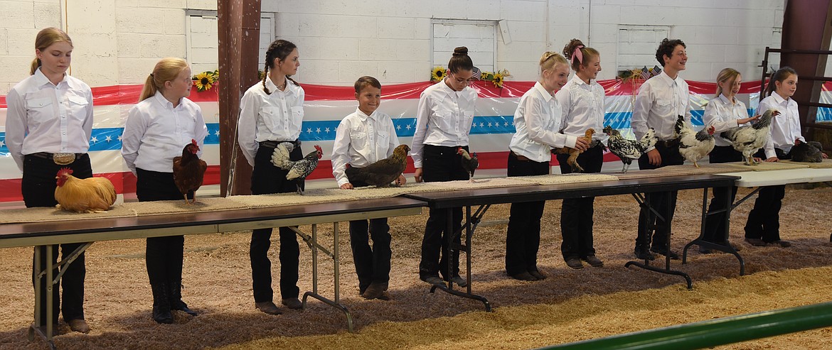 Junior and Senior Poultry Showmanship at the Lake County Fair. (Marla Hall/Lake County Leader)