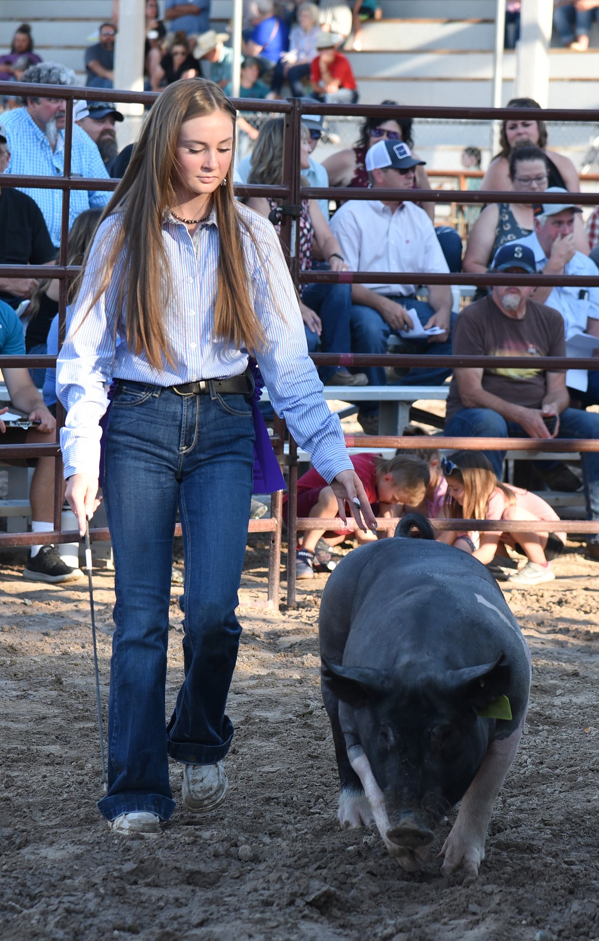 Ryan Walchuck, shown here with her hog, received championship awards for both her hog and her showmanship skills at the Lake County Fair. (Marla Hall/Lake County Leader)