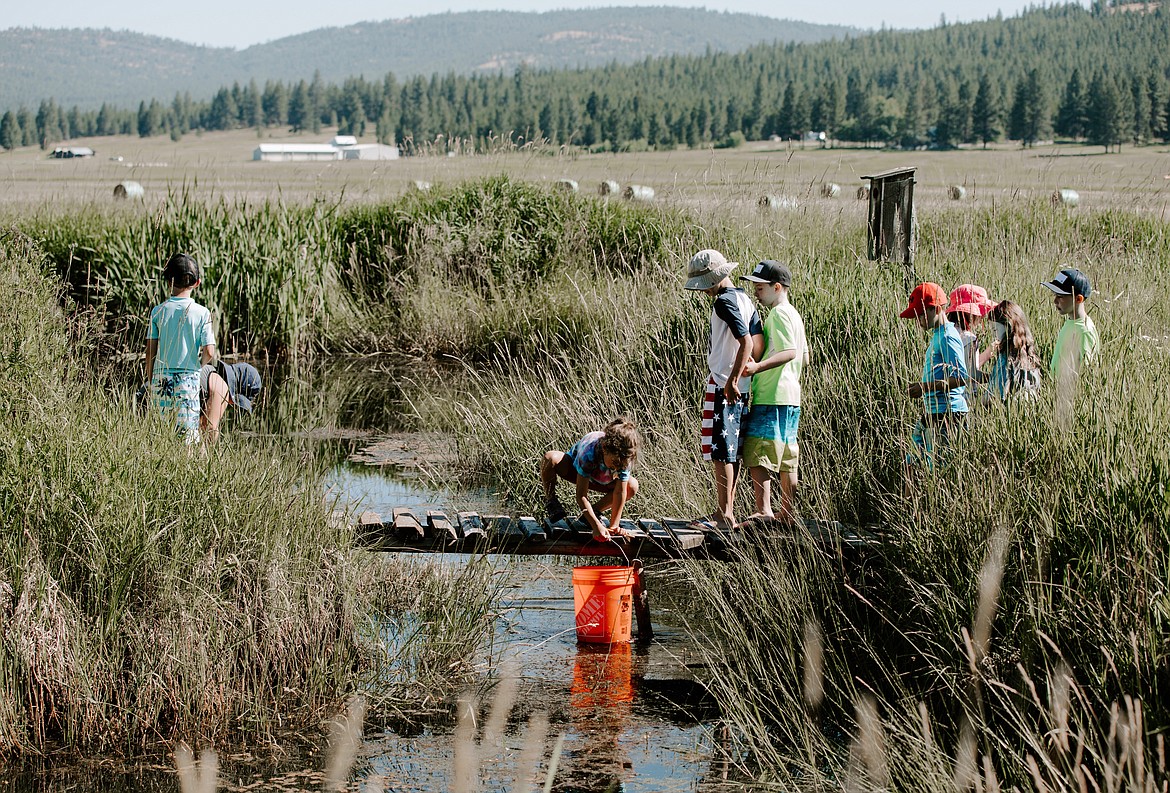 Students from St. Matthew’s Catholic School collect water for a science experiment during the school’s Adventure Camp last month. (Courtesy photo)