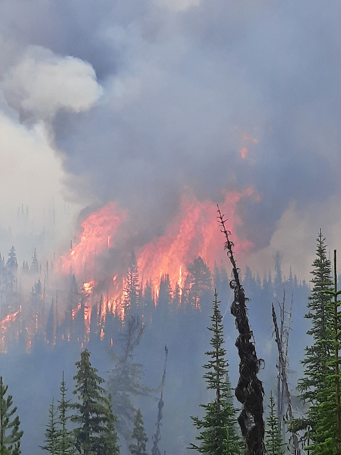 The Weasel Fire exceeded 2,000 acres Friday afternoon. (U.S. Forest Service photo)