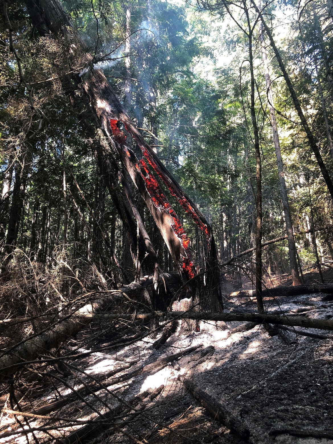 Embers can be seen in a tree burned in the Diamond Watch Fire, located 5.5 mile due west from Nordman, Idaho, in Pend Oreille County, Washington.