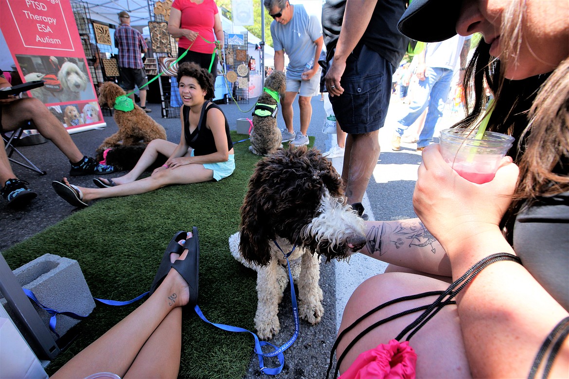People visit with dogs at "Unleashed Academy: People and Canine Training," at the Street Fair on Friday.