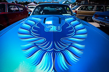 Hood decal on a classic Pontiac Trans Am at the Evergreen Show 'N Shine car show at Conlin's Furniture on Saturday, Aug. 6. (Casey Kreider/Daily Inter Lake)