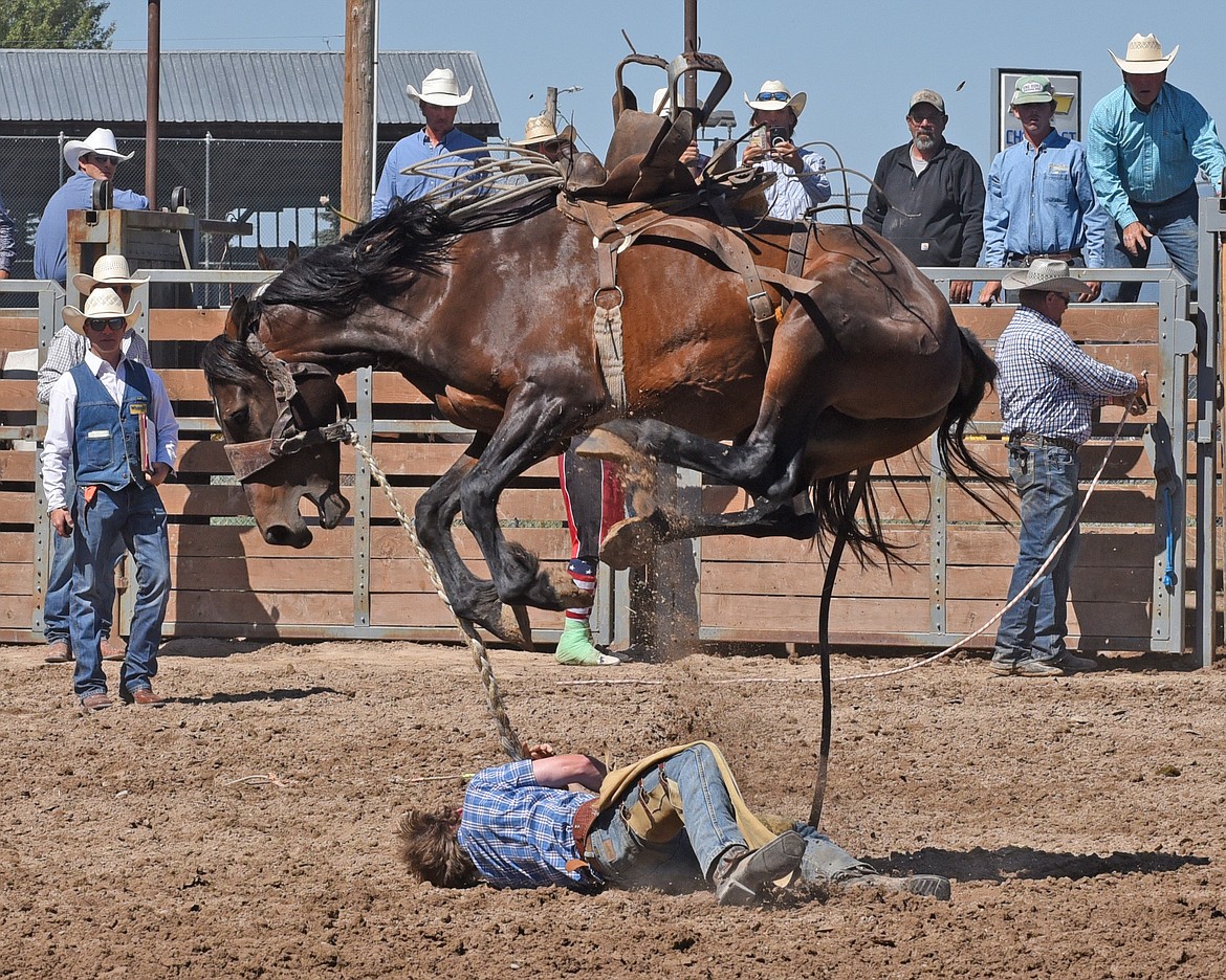 Ben Hopper of Louisiana demonstrates nerves of steel as this bronc leaps over him in the ranch bronc competition on Sunday. (Marla Hall/Lake County Leader)